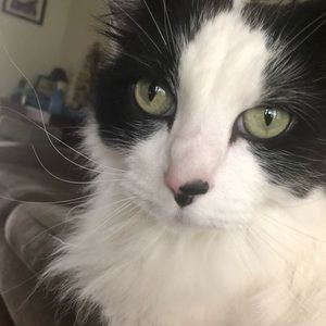 Meet your Posher, Jim